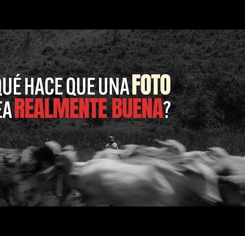 Los Conceptos detrás de una Buena Fotografía