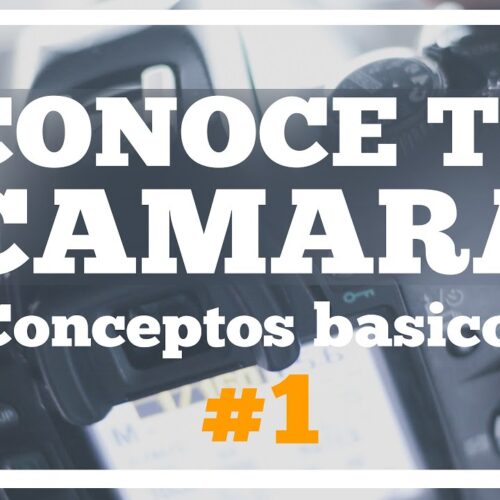 Conceptos básicos de fotografía