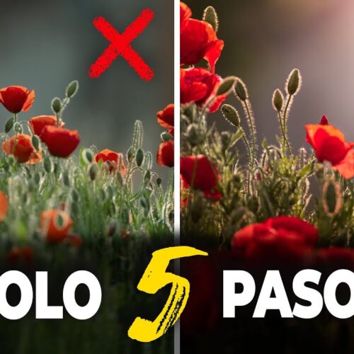 La forma más FÁCIL y RÁPIDA de revelar en LIGHTROOM