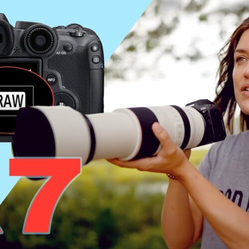 Wildlife Photography Tutorial with the Canon R7!